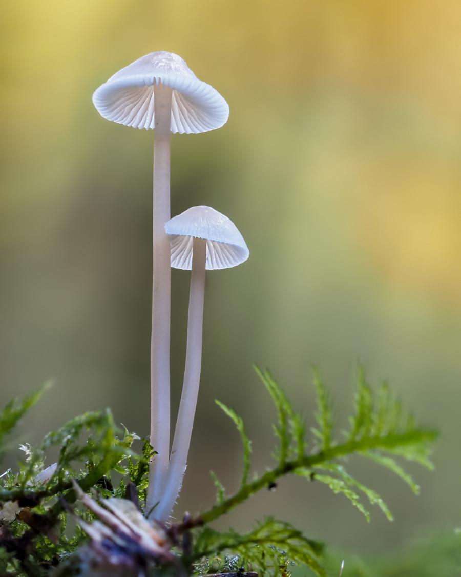 foto_1.jpg